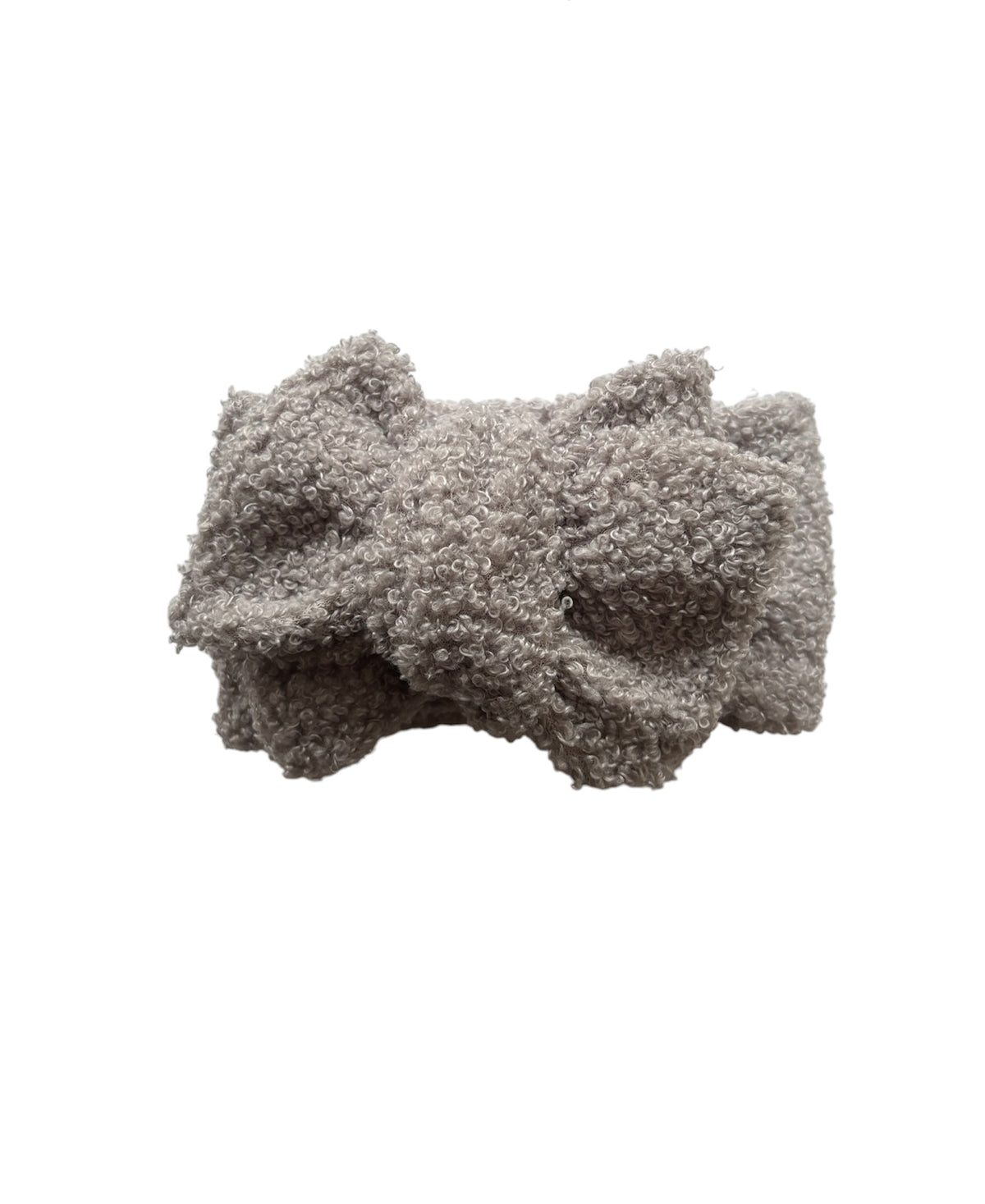 Silver fox teddy