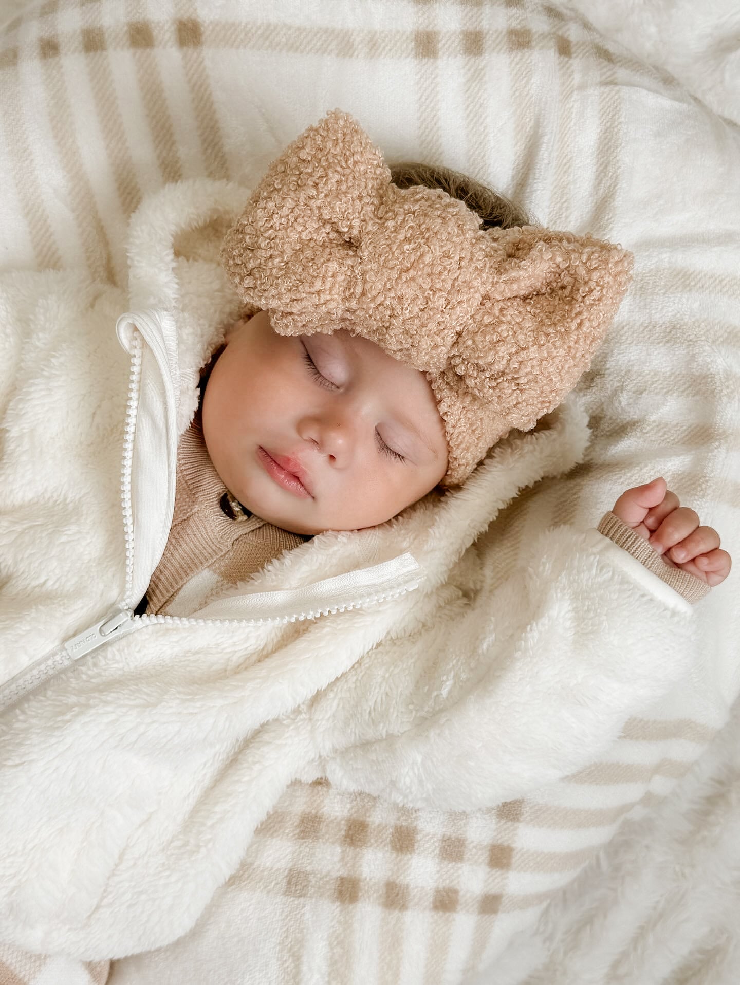 Light Brown Teddy